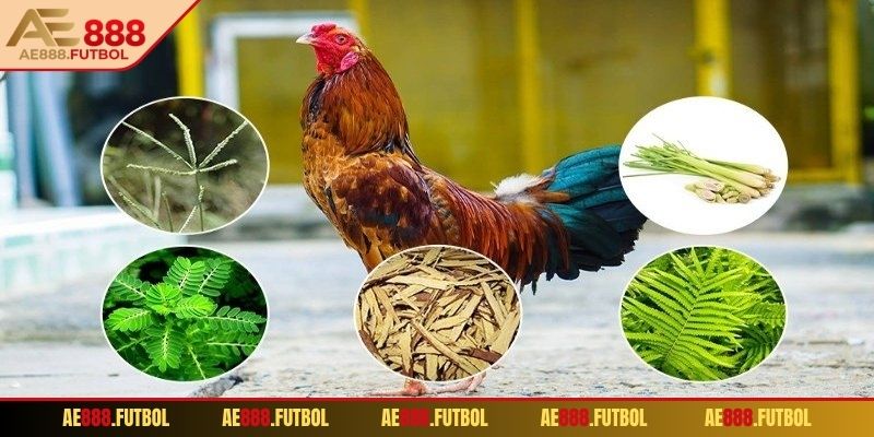 Phân chia khẩu phần sáng, chiều hợp lý