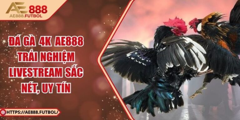 Đá Gà 4k AE888 – Trải Nghiệm Livestream Sắc Nét, Uy Tín