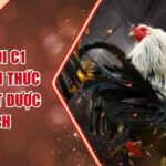 Đá Gà Chọi C1 AE888 - Hình Thức Cá Cược Rất Được Yêu Thích