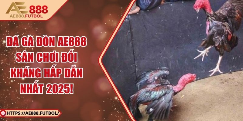 Đá Gà Đòn AE888 – Sân Chơi Đối Kháng Hấp Dẫn Nhất 2025! 3 Đá Gà Đòn AE888 – Sân Chơi Đối Kháng Hấp Dẫn Nhất 2025!