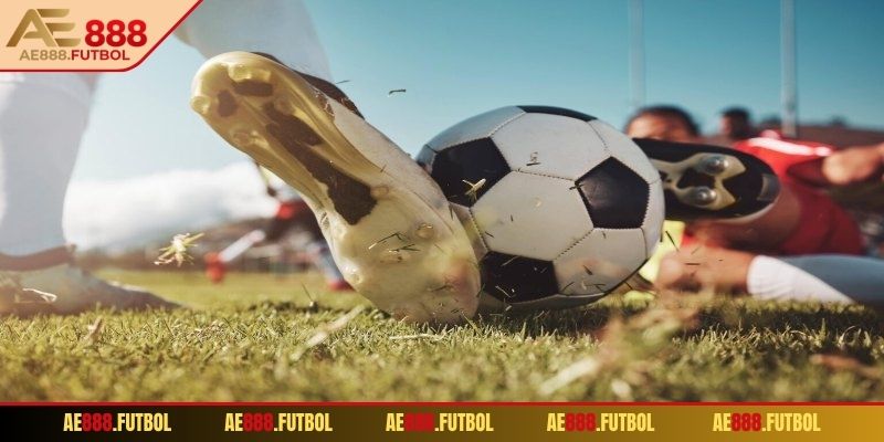 Dấu màu xanh hoặc đỏ biểu thị độ chênh lệch odds 