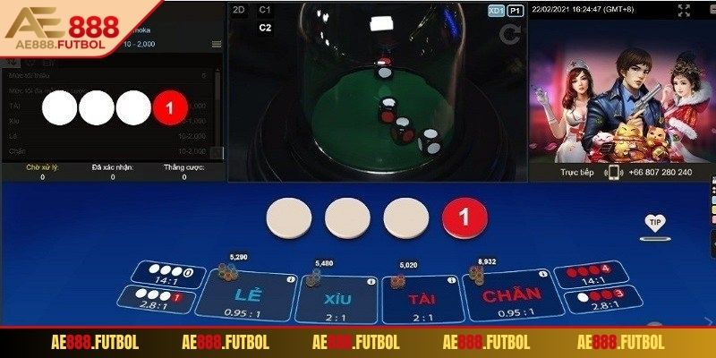 Sàn cá cược dùng 4 mặt đồng xu