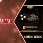 Go88 Bị Giả Mạo – Đừng Để Mất Tiền Và Thông Tin Cá Nhân